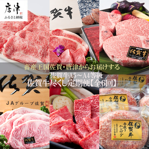 「定期便全6回」 佐賀牛 極-kiwami- 寄附翌月から発送