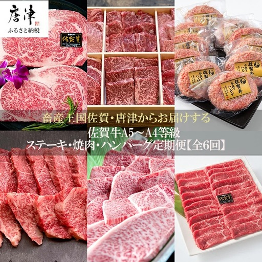 「定期便全6回」 佐賀牛 ステーキ・焼肉・ハンバーグ 寄附翌月から発送 (合計3.96kg) ステーキ ハンバーグ