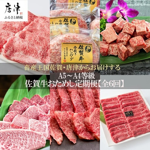 「定期便全6回」 佐賀牛 お試し定期便 寄附翌月から発送 (合計2.84kg)