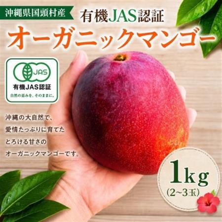 【2027年7月上旬から順次発送・有機JAS認証】オーガニックマンゴー1kg(2～3玉)【配送不可地域：離島】【1589195】