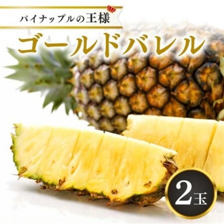 【2027年5月下旬から順次発送・ハウス栽培】パイナップルの王様 ゴールドバレル2玉【配送不可地域：離島】【1608233】