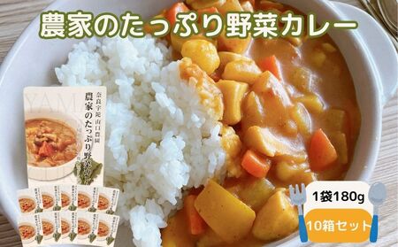 農家のたっぷり野菜カレー 10個/ふるさと納税 レトルトカレー 詰め合わせ ギフト 10食 野菜 ふるさと 有機野菜 オーガニック 飯 簡単 時短 保存食 奈良県 宇陀市 山口農園
