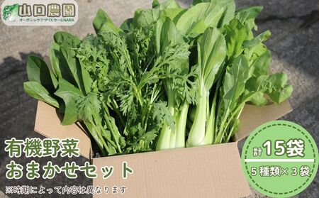 (チルド)山口農園 有機野菜 おまかせセット /ふるさと納税 山口農園 伝統野菜 オーガニック ベジタリアン 無農薬 野菜セット 農家直送 詰め合わせ 奈良県 宇陀市