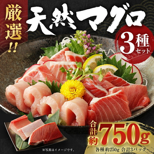 天然マグロ 3種 約750g 【まぐろ】ge002