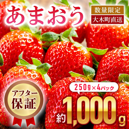 いちご あまおう 約250g×4P 計1000g 【2027年1月～4月に順次出荷予定】いちご CB223