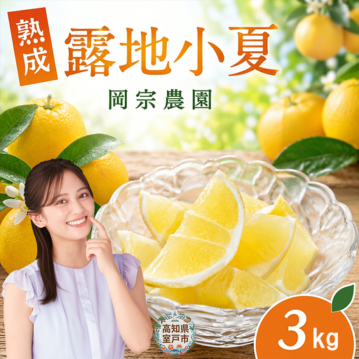露地小夏 3kg 熟成 小夏