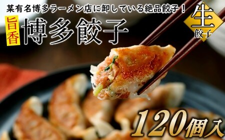 AB285.【創業40年の老舗が誇る味わい】博多餃子１２０個