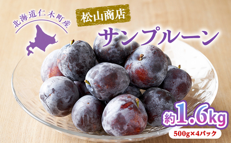 [2026年発送] 北海道仁木町産 プルーン 1.6kg(品種:サンプルーン) 厳選品 果物詰合せ フルーツ 果物 くだもの[松山商店]