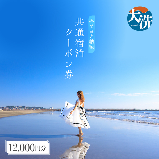 大洗町 共通 宿泊 クーポン 12,000円分（3,000円×4枚） 関東 茨城_AX004