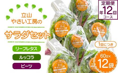 立山やさい工房のサラダセット(60g×12袋)の定期便年12回コース 富山県 立山町 F6T-249