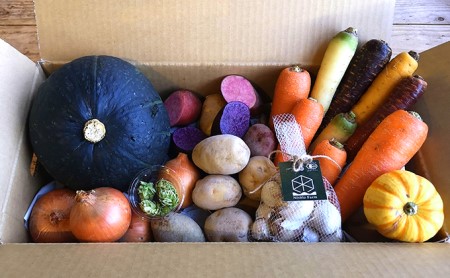 [令和8年産] 上富良野産 秋の オーガニック お野菜 セット 詰合せ 約3.5〜5kg じゃがいも 根菜 有機野菜 産地直送 北海道 上富良野町 Nishio Farm