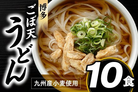 ZF079.博多ごぼ天うどん１０食