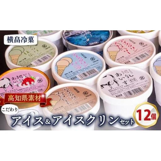 アイスクリーム12個_菓子・スイーツ アイス・ジェラート _【ME0391】