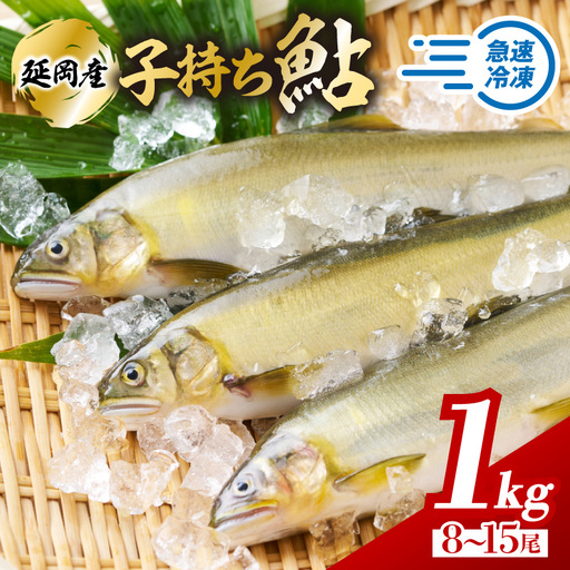 【2026年11月以降発送】【先行予約】【延岡産】小分けで便利！冷凍子持ち鮎１kg N017-YA3402