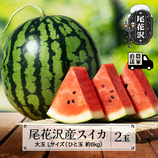 尾花沢産スイカ すいか Lサイズ 約6kg×2玉  令和8年産 kb-su1xx2