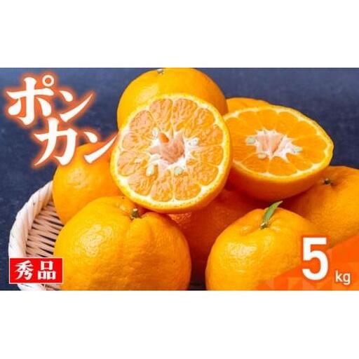 [早期予約] 秀品 須崎産 ポンカン 5kg ぽんかん 家庭用 11000円