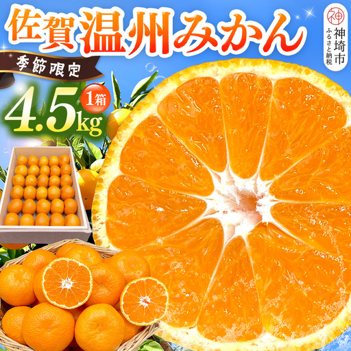 [先行受付 令和8年11月下旬より発送]佐賀温州みかん(1箱 4.5kg)(H072107)