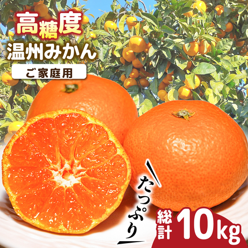 【2026年11月下旬-発送】温州みかん 約10kg [SCV012] みかん