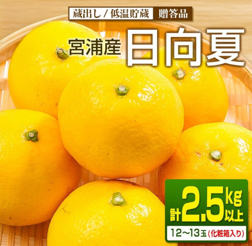 先行予約 宮浦産 蔵出し 日向夏 計2.5kg以上 化粧箱入り