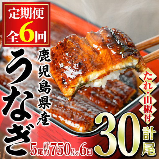 ＜定期便・全6回＞東串良町 うなぎ 蒲焼 (無頭)(5尾・計約750g・タレ、山椒付×6回) 高級 ウナギ 鰻 国産 たれ 鹿児島 ふるさと 人気【アクアおおすみ】【150041】