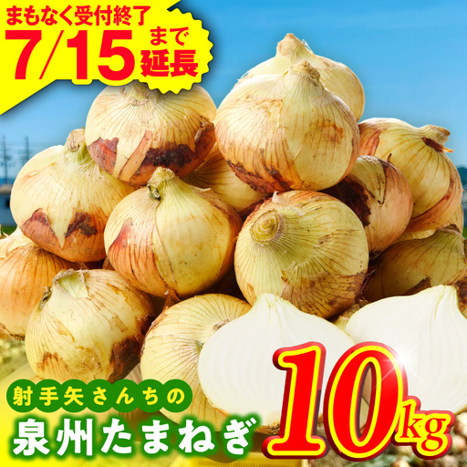 【ふるなび限定】泉州たまねぎ 10kg 玉ねぎ たまねぎ FN-Limited-PR