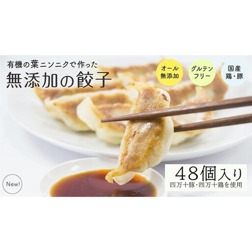 【餃子】葉にんにくと四万十豚で作った餃子(6個入りx8パック）
