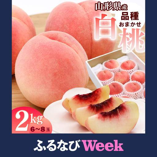 [ふるなびWEEK対象]令和8年産 山形県産 白桃 2kg 品種 おまかせ 秀品 山形県産 [2026年8月上旬頃から9月下旬頃発送予定] 0085