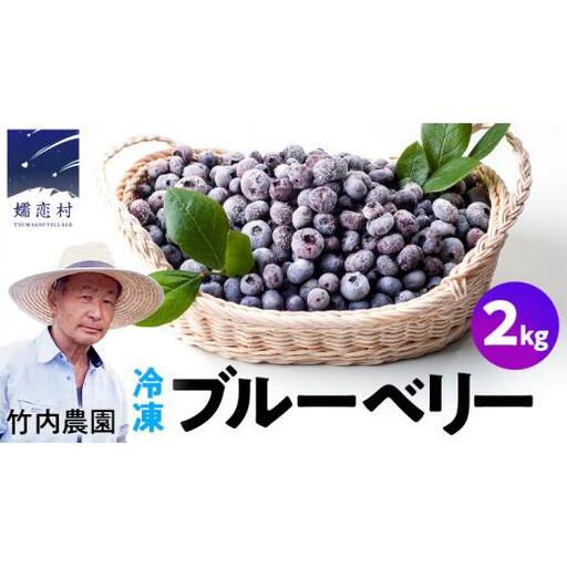 【数量限定】 冷凍ブルーベリー2kg 国産 [AD003tu]