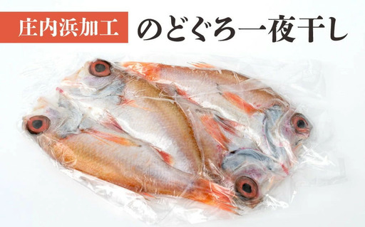 A01-406　庄内浜加工のどぐろ一夜干し2枚セット