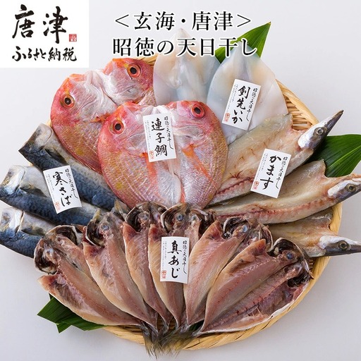 昭徳の天日干し 1枚60g~90g 全16枚(真あじ開き60g×6枚 真さば片身90g×3枚 かます開き80g×3枚 連子鯛開き180g×2枚 剣先いか開き70g×2枚)