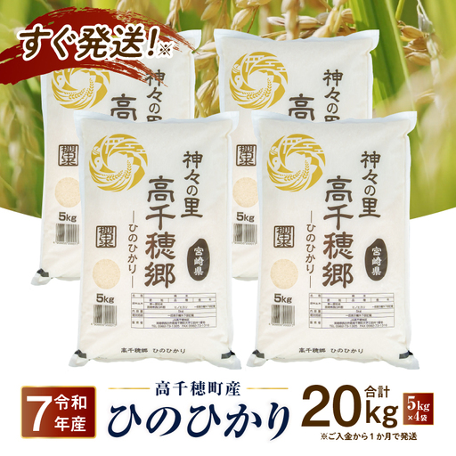 【令和7年産】JA高千穂地区 ひのひかり 20kg 高千穂産 20kg 5kg 4袋 食品 米 お米 白米 ごはん 白飯 精米 国産 宮崎県産  単一原料米 農作物 農産物 おすそ分け 普段使い 日常 炭水化物 主食 贈答 贈り物 ギフト プレゼント おすすめ 宮崎県 高千穂町 _Tk004-046