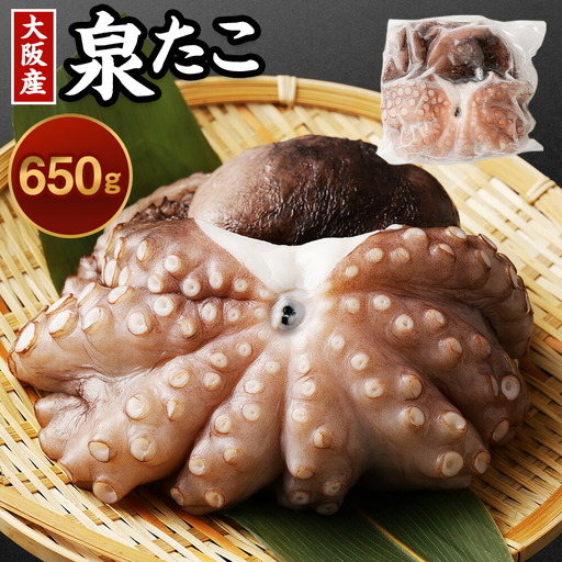 大阪産 泉タコ(生たこ)650g(1杯〜3杯)
