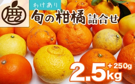 [1月より発送]家庭用 柑橘詰合せ2.5kg+250g(傷み補償分)◇[訳あり・わけあり][有田の春みかん詰め合わせ・フルーツ詰め合せ・オレンジつめあわせ][光センサー選別]