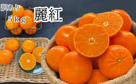 【訳あり】早川農園の麗紅(れいこう)５kg　 先行予約【R00223】