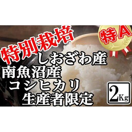 【令和7年】特別栽培 生産者限定 南魚沼しおざわ産コシヒカリ2Kg | 米