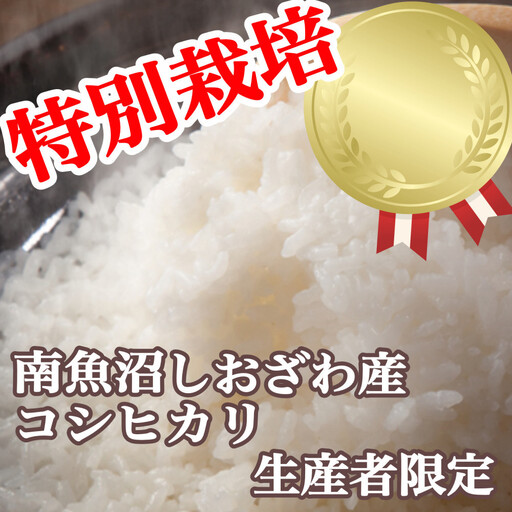【令和8年　新米予約】【定期便：2Kg×12ヶ月】特別栽培 生産者限定 南魚沼しおざわ産コシヒカリ | コシヒカリ【2026年10月上旬より1ヶ月以内に順次発送予定】