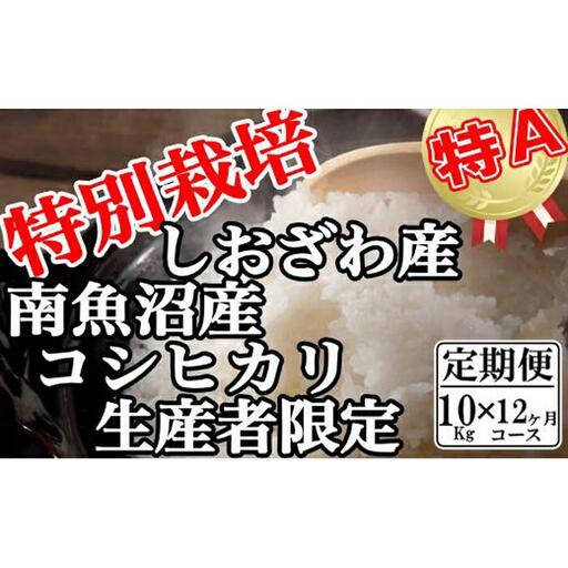 【令和7年】【定期便：10Kg×12ヶ月】特別栽培 生産者限定 南魚沼しおざわ産コシヒカリ | コシヒカリ