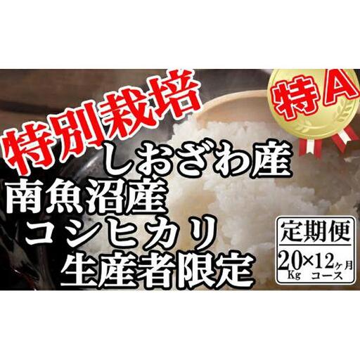 【令和7年】【定期便：20Kg×12ヶ月】特別栽培 生産者限定 南魚沼しおざわ産コシヒカリ | コシヒカリ