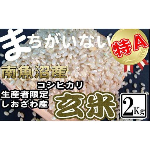[令和7年産]玄米 生産者限定 南魚沼しおざわ産コシヒカリ2Kg[銘柄米 ブランド米 玄米 こしひかり コシヒカリ 魚沼産 新潟米 産地直送 お米 米 こめ コメ ご飯 御飯 ごはん]