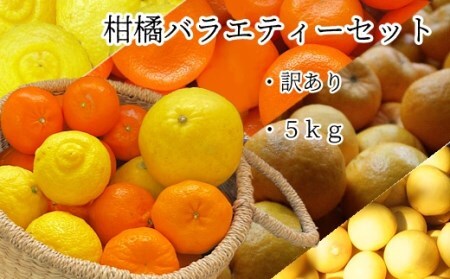 【R8年発送】＜訳あり＞ 柑橘バラエティーセット（５kg） 【R01374】