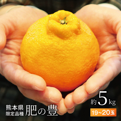 S110-001_熊本県天草産 肥の豊5kg 19〜20玉[先行受付]