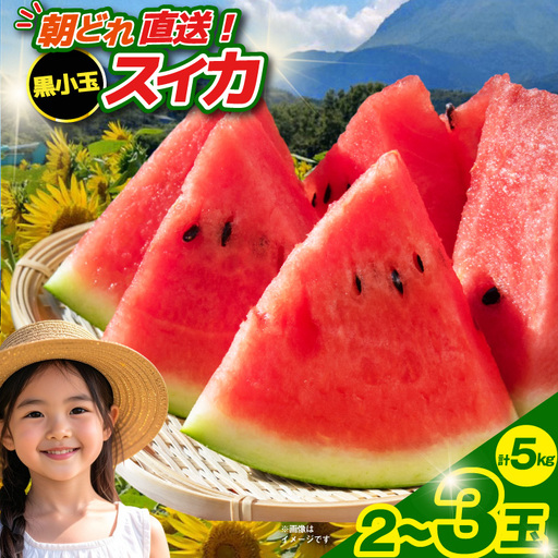 [令和8年度出荷分] 黒小玉スイカ「ひとりじめBonBon」 5kg(1.7kg以上×2〜3玉)