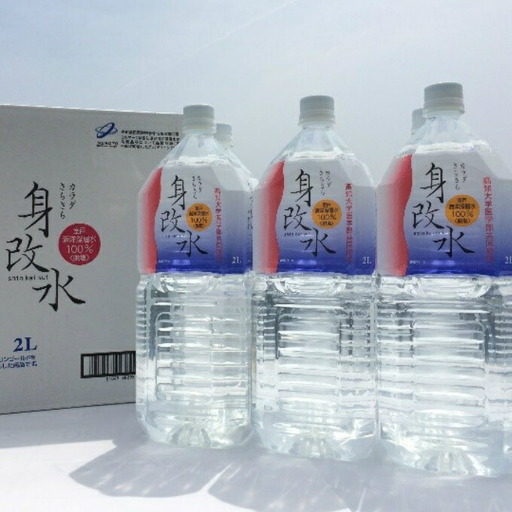 深海のミネラルがはいっちゅーぜよセット ミネラルウォーター ペットボトル 熱中症対策 6500円