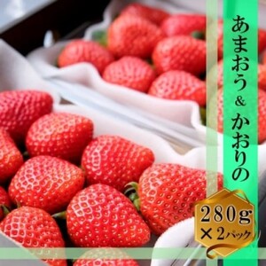 いちごセット あまおう かおりの 福田ファーム いちごセット【各1パック(280g×2)】