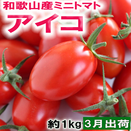 [2027年3月出荷分]和歌山産ミニトマト「アイコトマト」約1kg(M・Lサイズおまかせ)※2027年3月上旬〜3月下旬ごろ順次発送 ※北海道、沖縄、離島への配送不可[tec401-aik-1-mar]