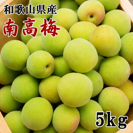【和歌山名産】 南高梅 5kg （サイズ混合）/ フルーツ 果物 くだもの 食品 人気 おすすめ 送料無料 ※2027年6月上旬～6月下旬頃順次発送 ※北海道・沖縄・離島への配送不可 【tec508-r-5A】