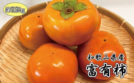 和歌山秋の味覚 富有柿 約7.5kg「2026年11月上旬頃〜2026年12月上旬頃に順次発送予定」[UT48][uot702A]