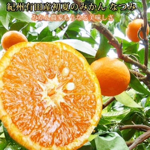 初夏の みかん なつみ 5kg / 柑橘 甘い 果物 和歌山 ※2027年4月中旬頃〜4月下旬頃発送予定 【uot501-2】