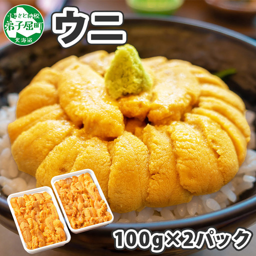 《12月指定可》 うに 200g ウニ チリ産雲丹 北海道 3209