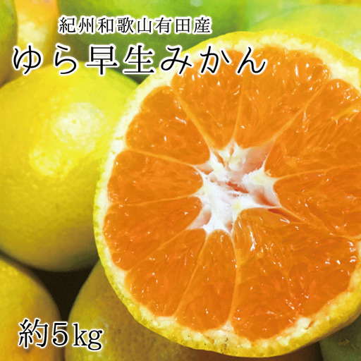 【先行予約】紀州和歌山有田産ゆら早生みかん 5㎏　※2026年10月下旬頃～11月上旬頃順次発送（お届け日指定不可）【uot721】